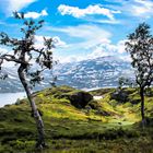Hochplateau in Norwegen - Sommer, Sonne... und Schnee