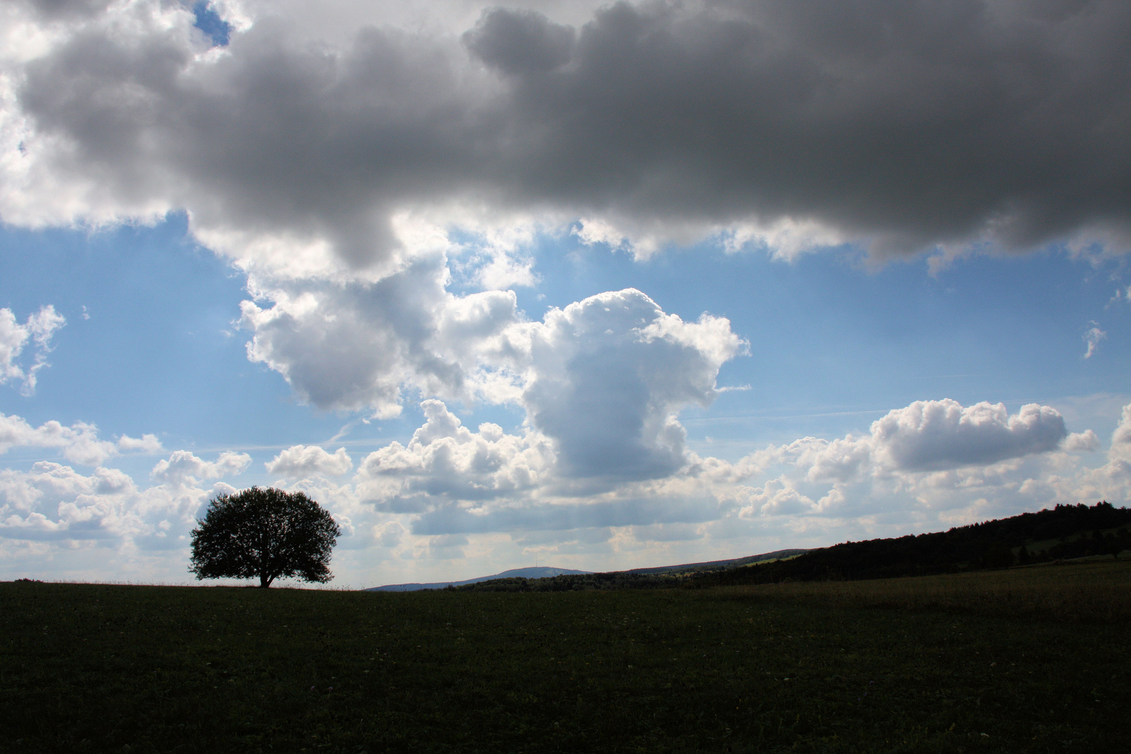 Hochrhön 2010