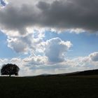 Hochrhön 2010