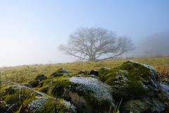 Hochrhön