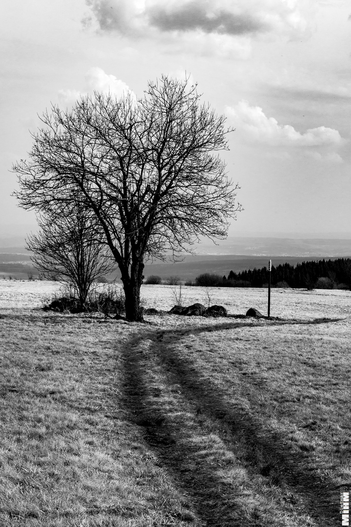 Hochrhön