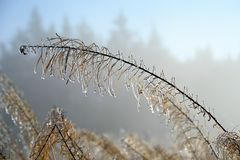 Hochrhön