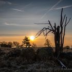 Hochrhön...