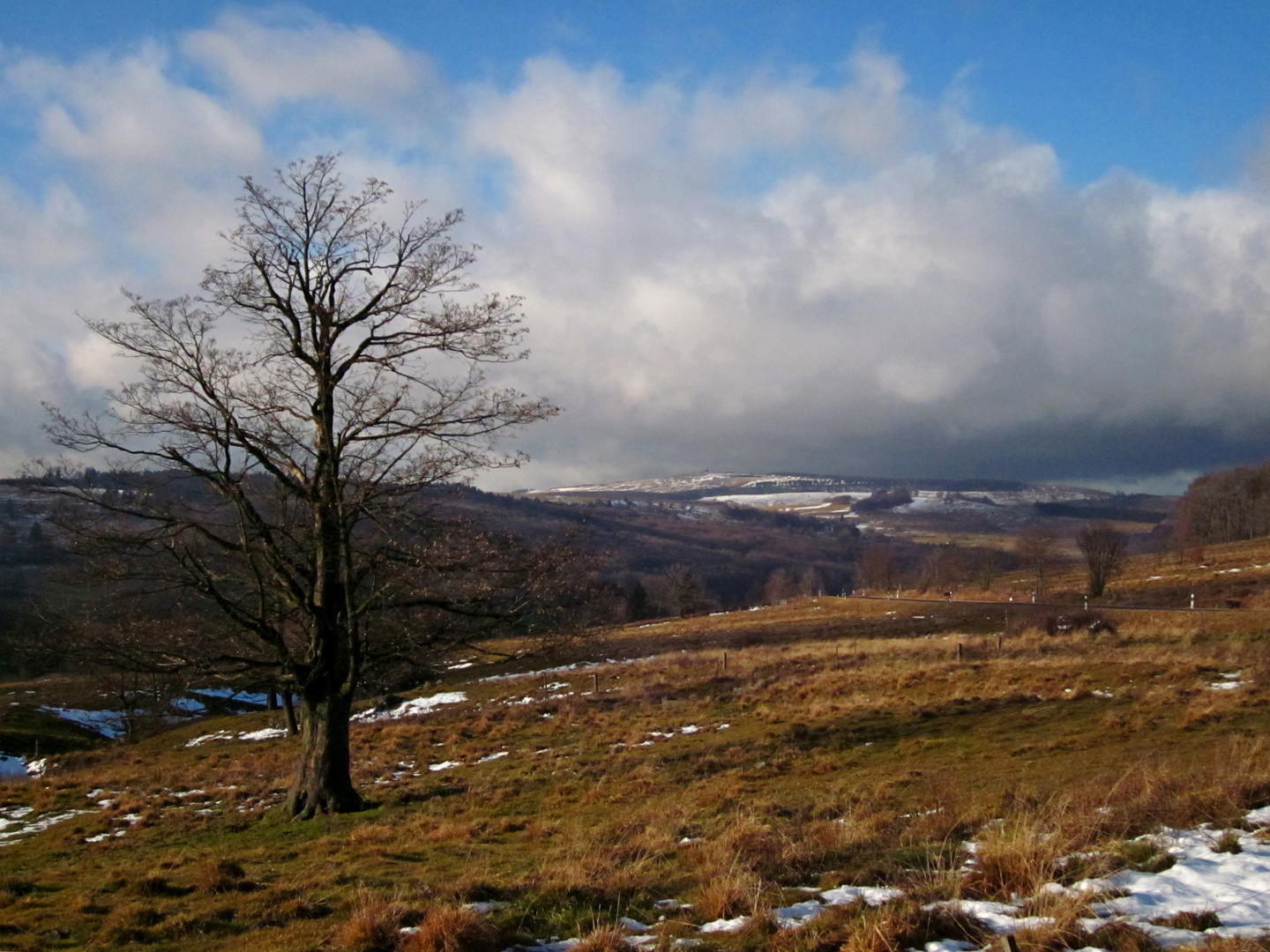 hochrhön im spätherbst