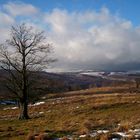 hochrhön im spätherbst