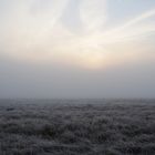 Hoch:rhön:nebel