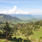 Hochries-Seitenalm, Blick auf den Heuberg