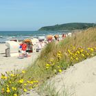 Hochsaison auf der Insel Hiddensee