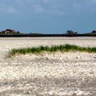 Hochsand im Nationalpark Wattenmeer