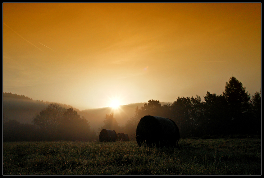 Hochsauerland am Morgen