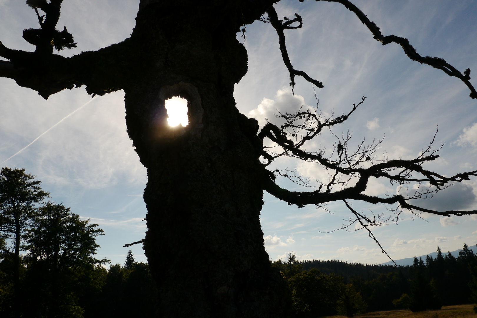 'Hochschachten' im Böhmerwald