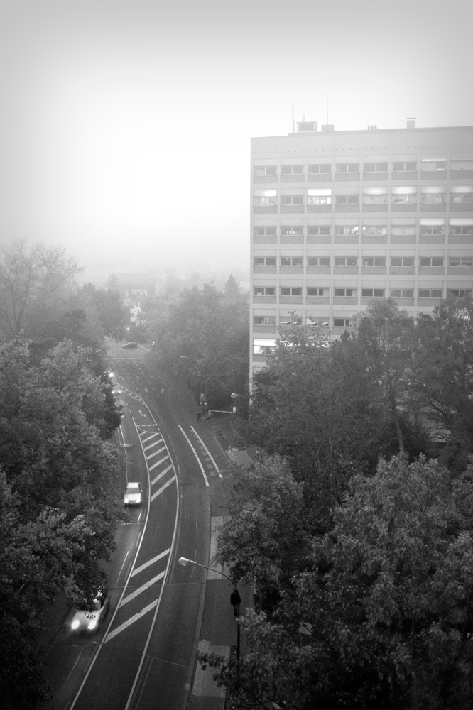 Hochschule im Nebel