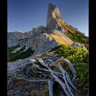 **Hochschwab-Festlbeilstein**