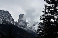 Hochschwab im Nebel