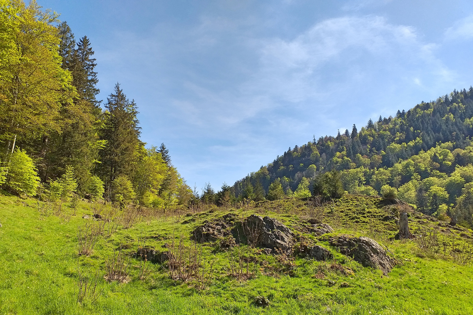 Hochschwarzwald