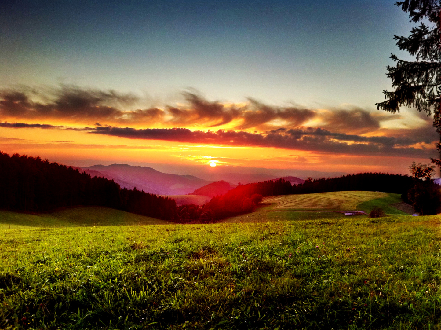 Hochschwarzwald