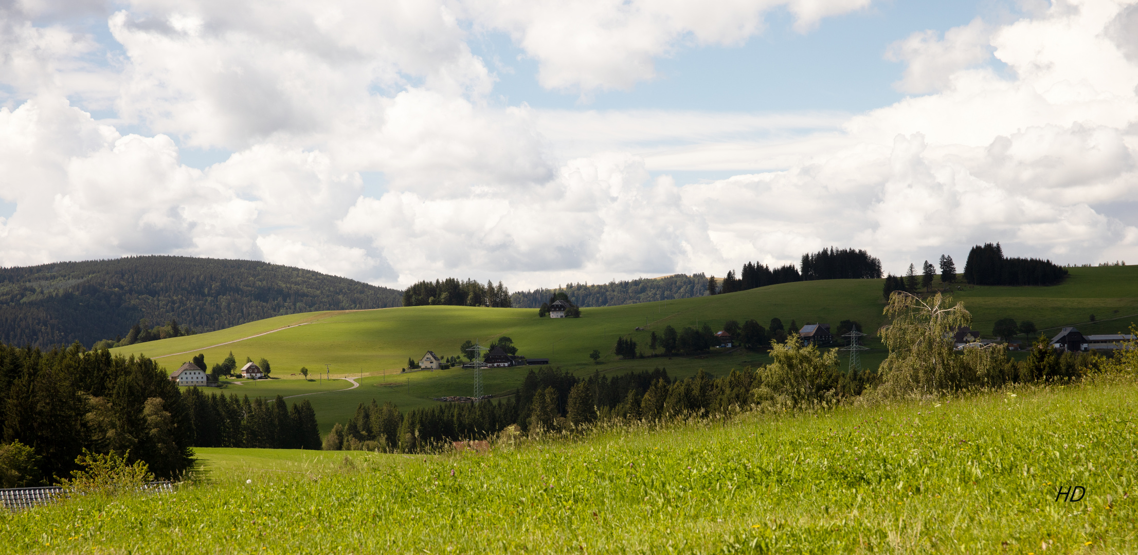 Hochschwarzwald-Landschaft