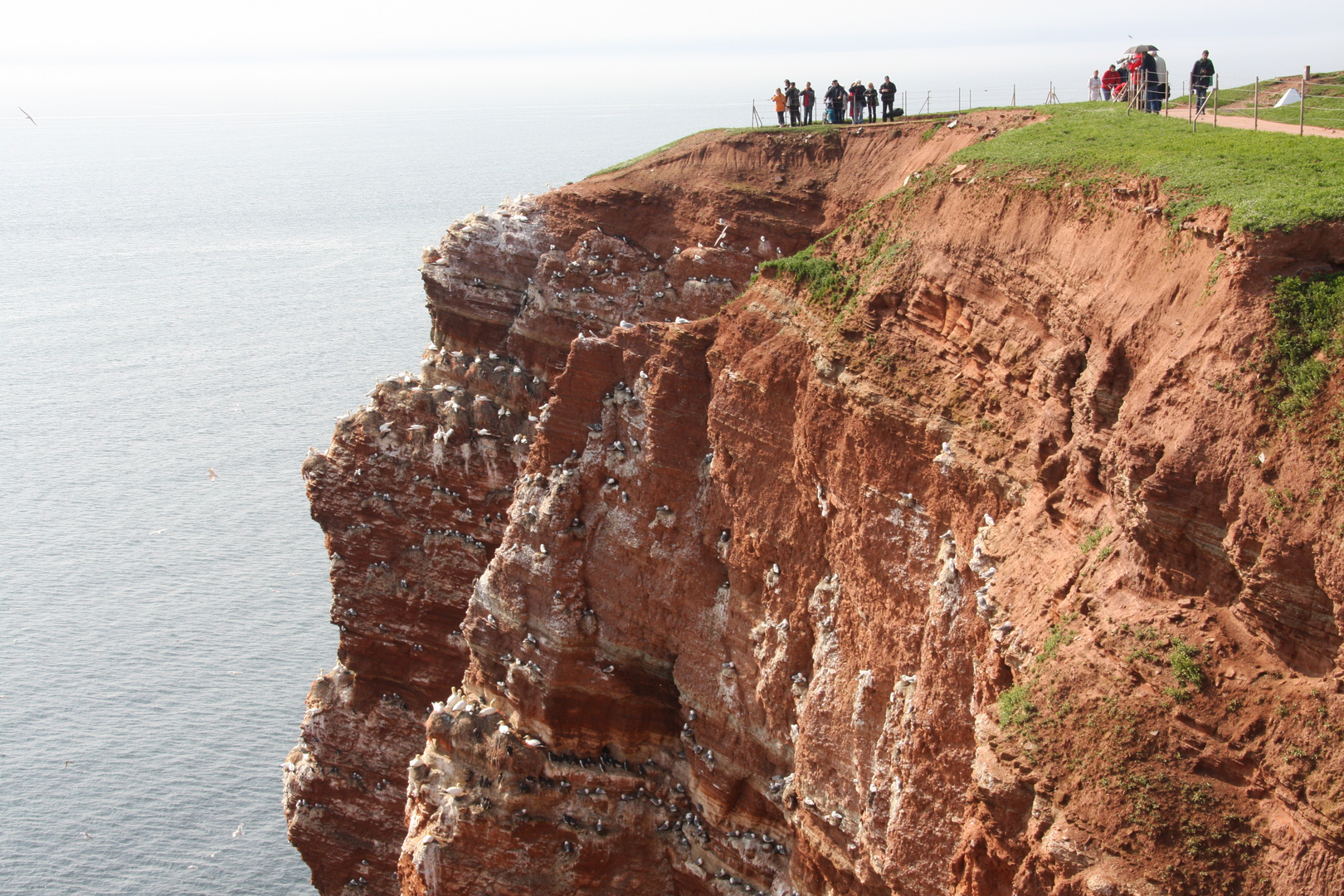 Hochseeinsel Helgoland