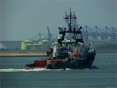 Hochseeschlepper " Magnus " / Rotterdam