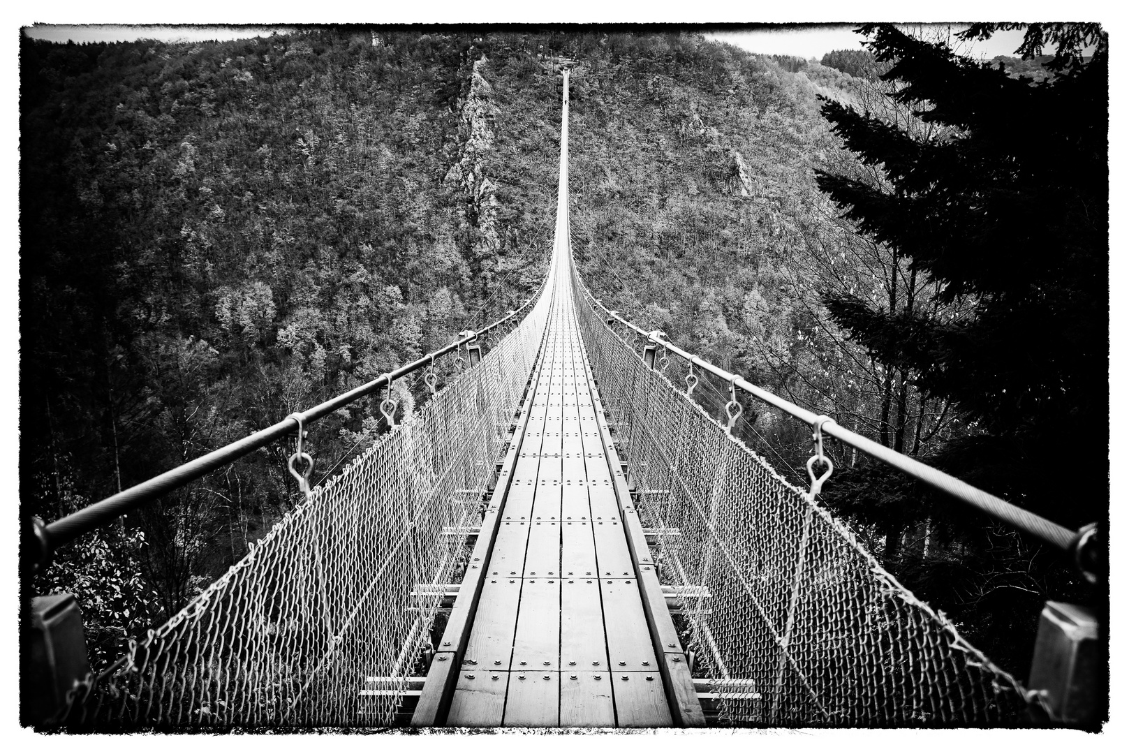 Hochseilbrücke Geierley