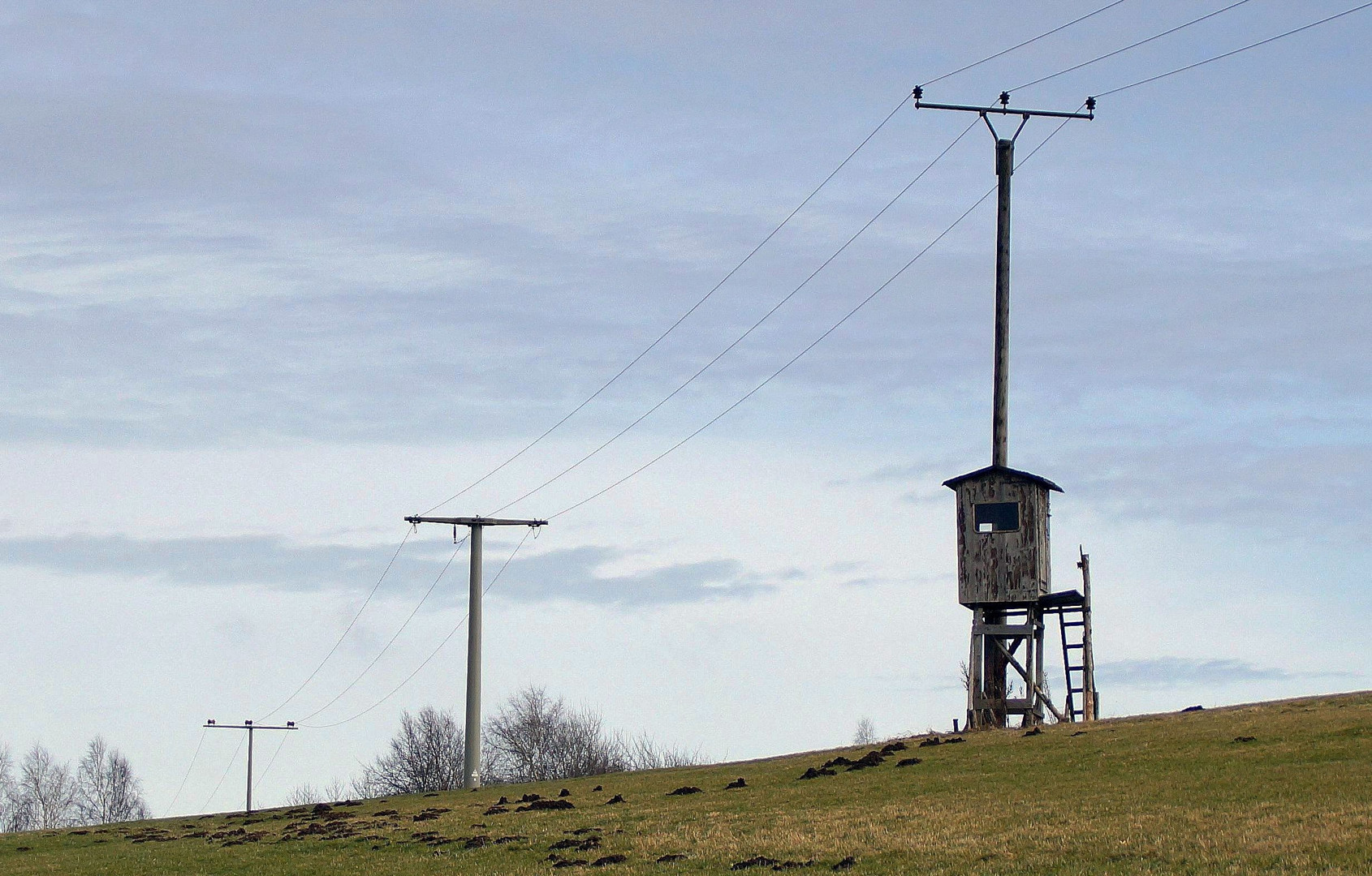 Hochsitz 11 - unter Hochspannung 