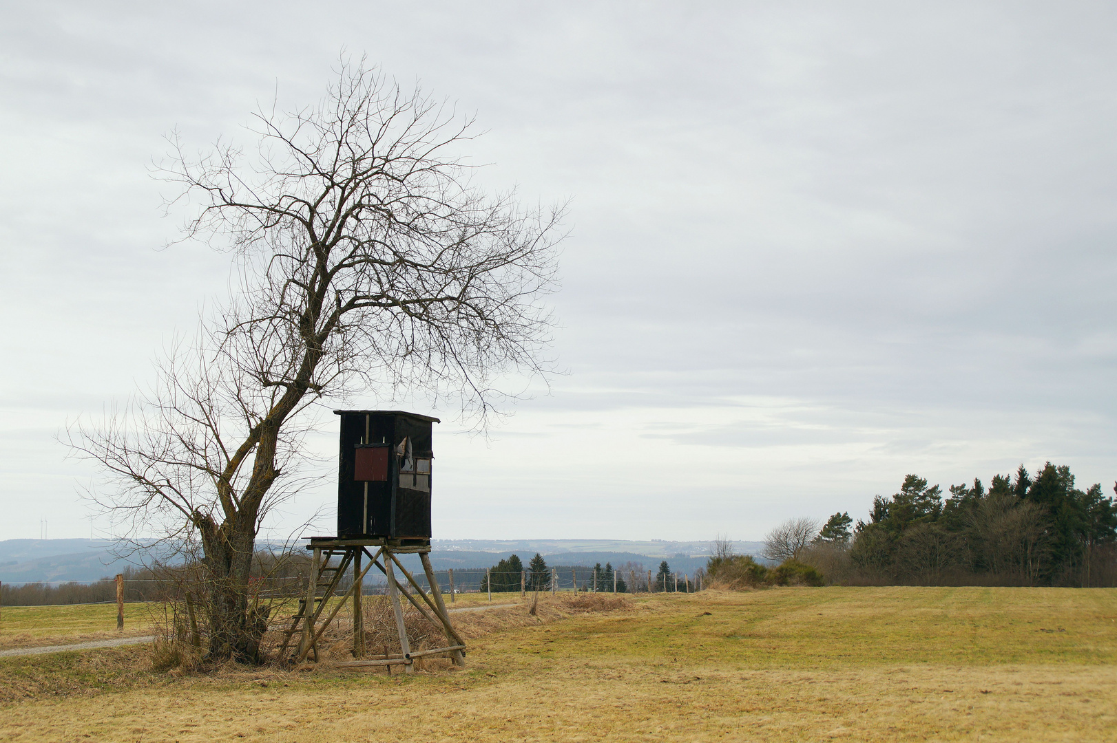 Hochsitz 9 - am Wegrand