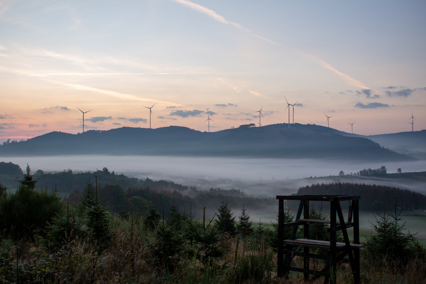 Hochsitz am frühen Morgen bei Nebel 