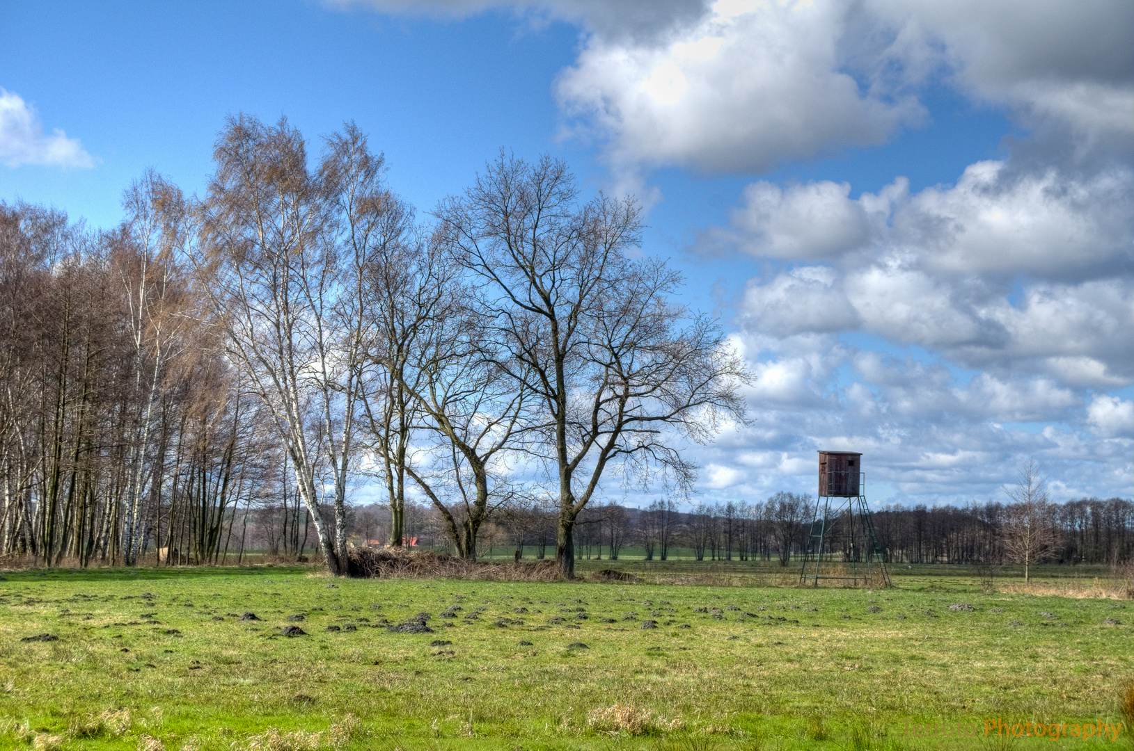 Hochsitz am Gothensee auf Usedom