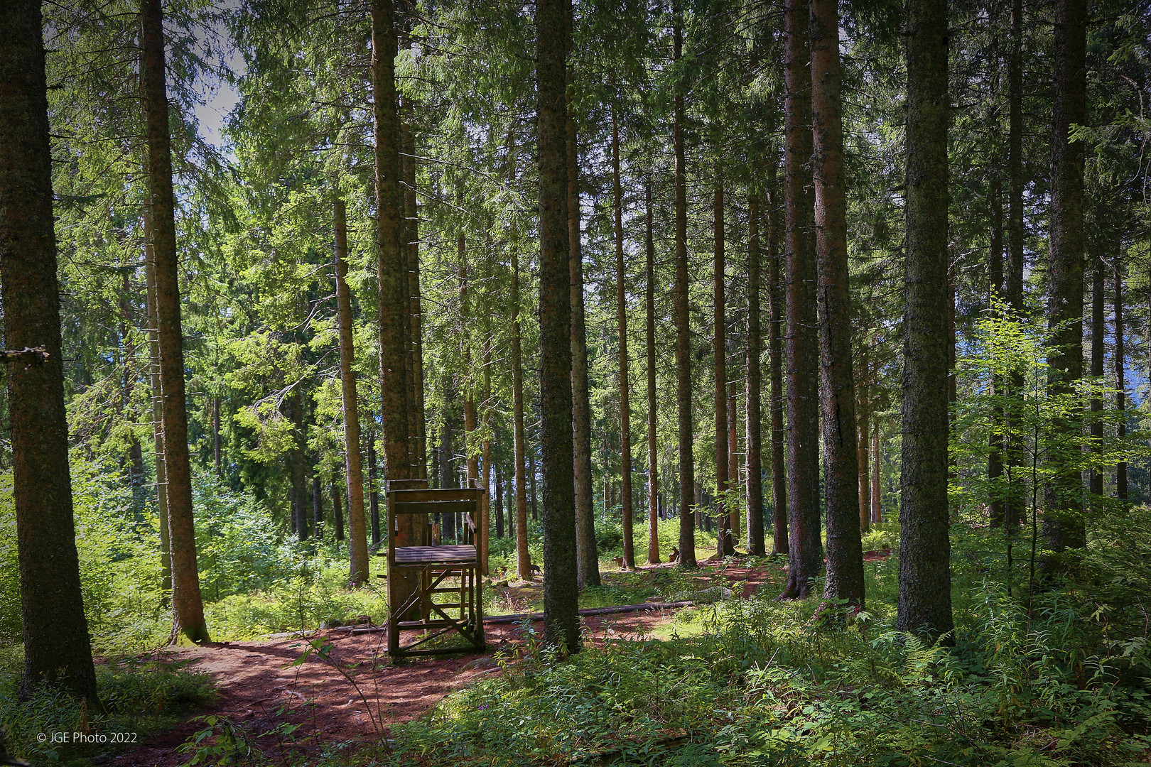 Hochsitz am Jägersteig