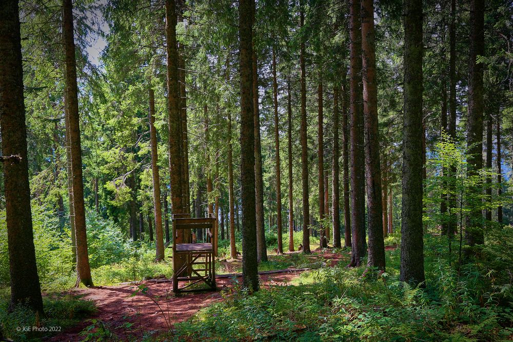 Hochsitz am Jägersteig