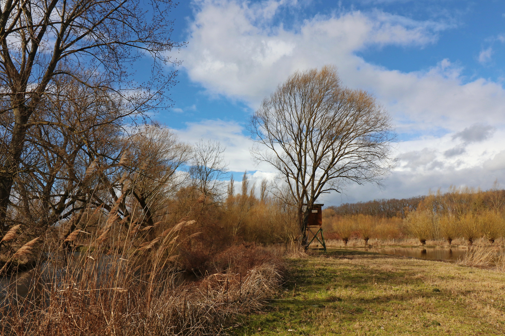 Hochsitz am Teich