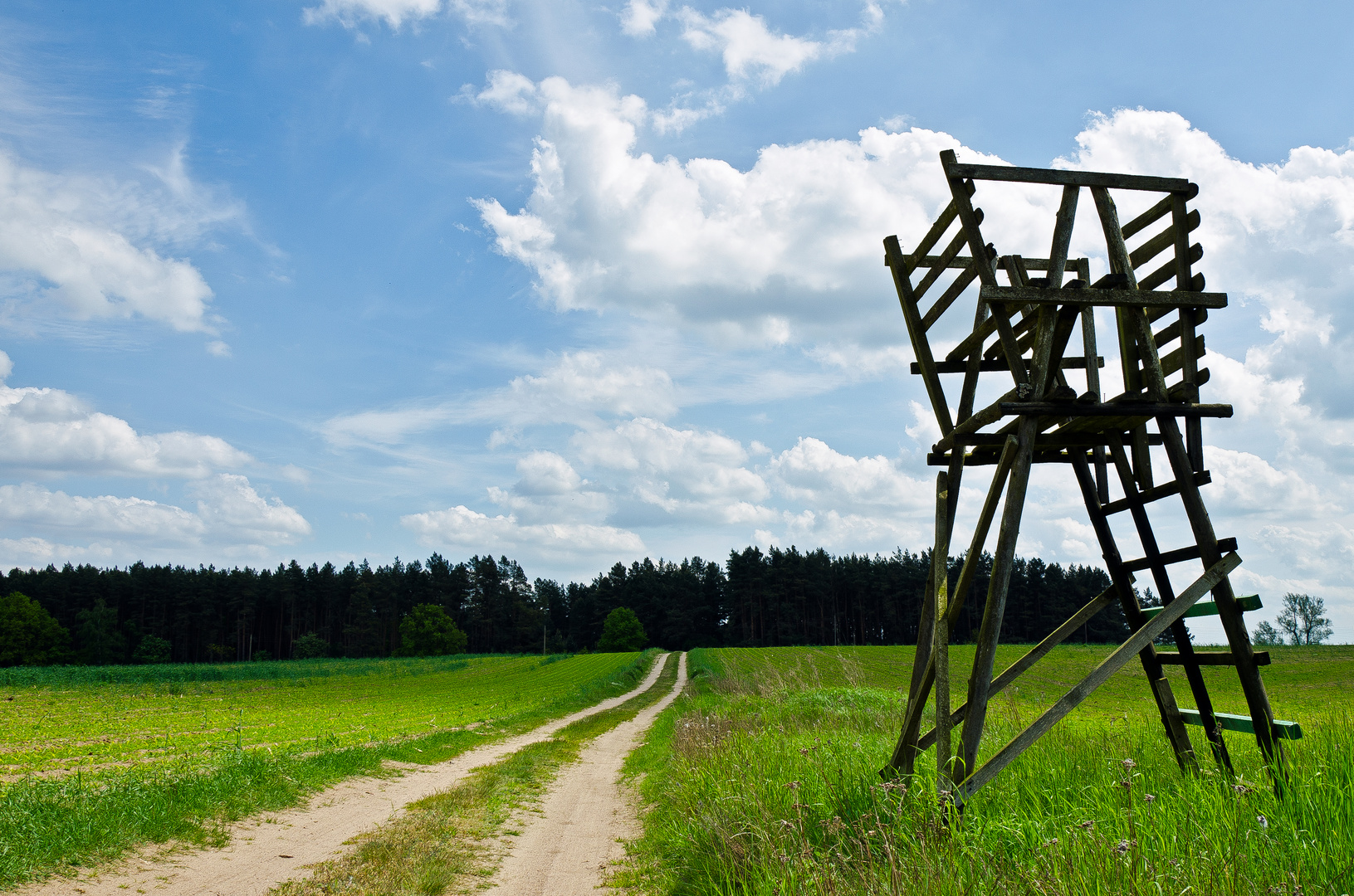 Hochsitz am Wegesrand