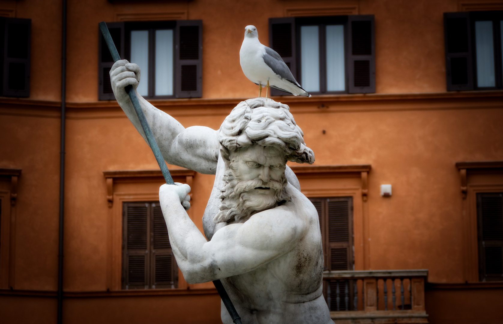 Hochsitz auf der Piazza Navona