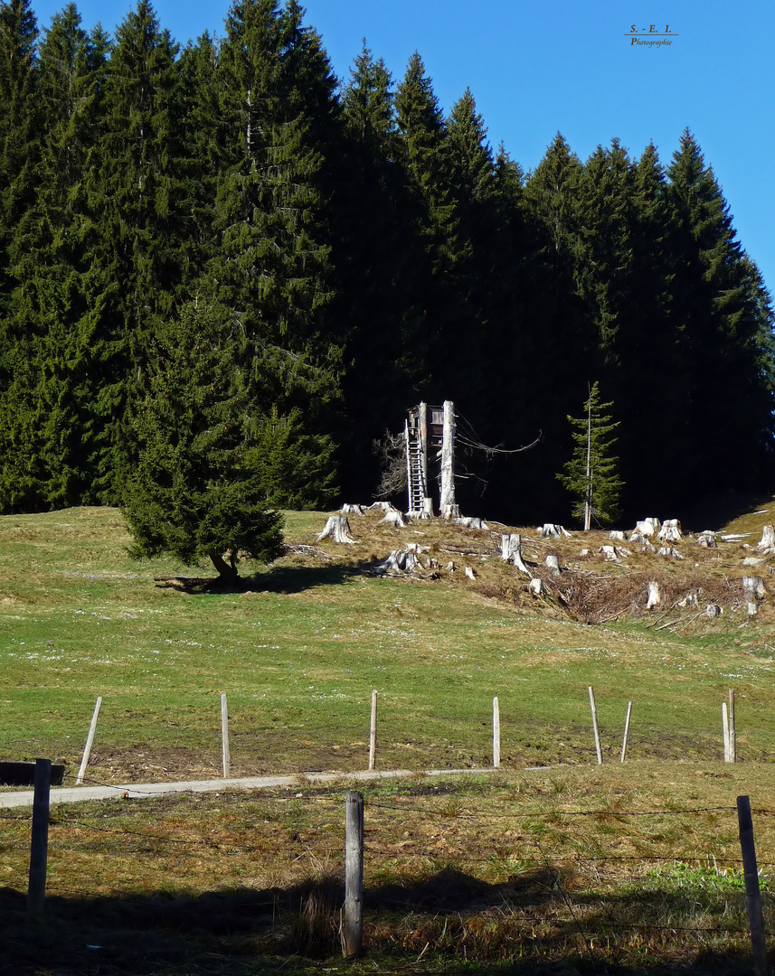 "Hochsitz* bei Wertach"