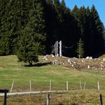 "Hochsitz* bei Wertach"