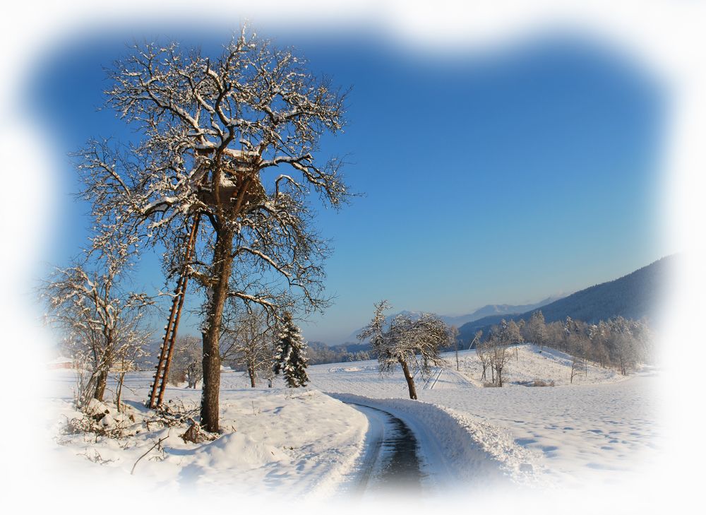 Hochsitz Freudenberg