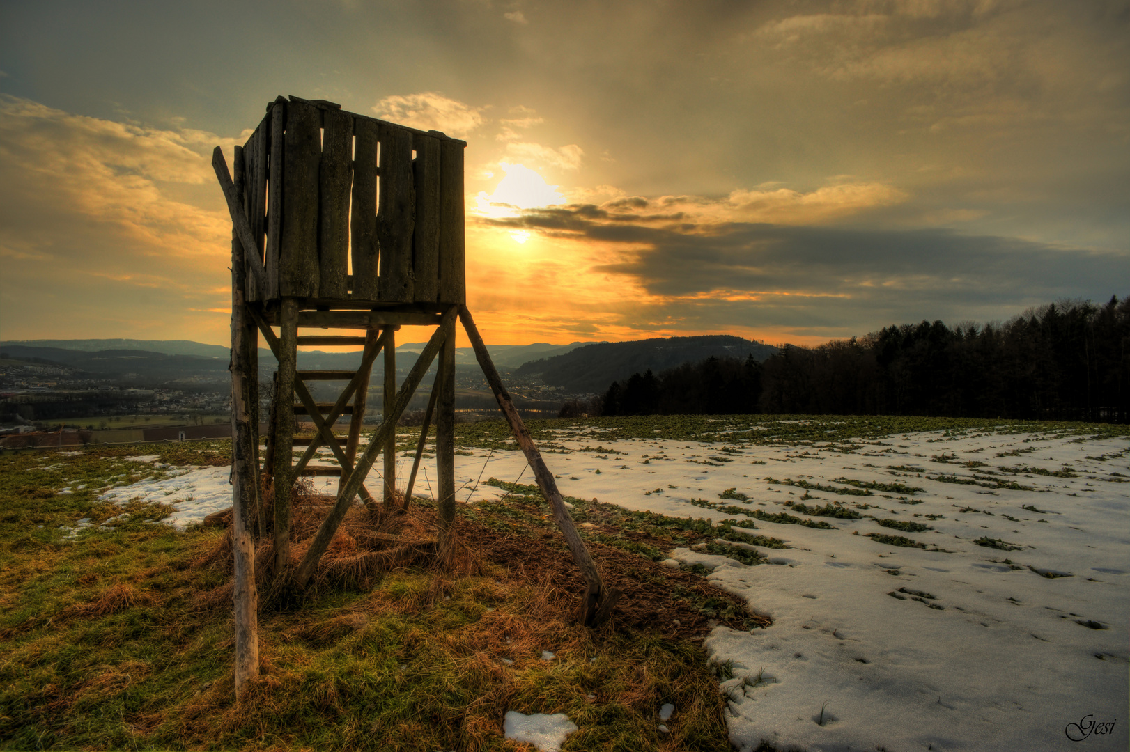 Hochsitz im Abendlicht