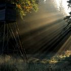 Hochsitz im Gegenlicht -Irgendwo im Harz