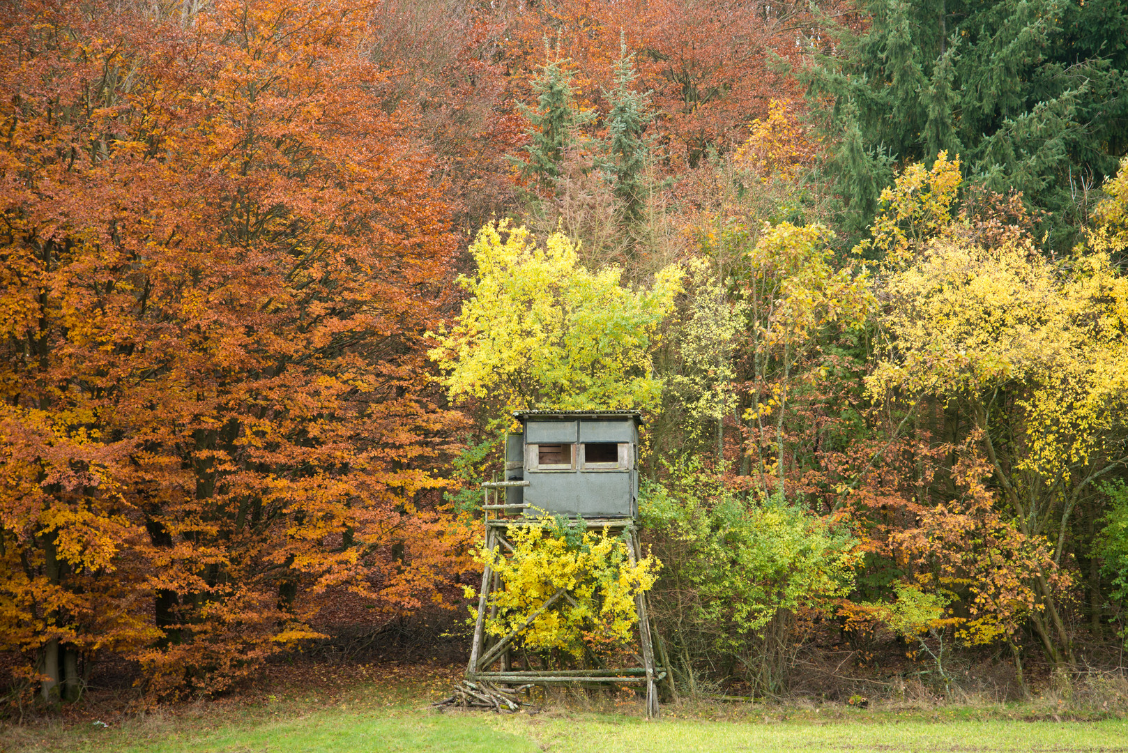 Hochsitz im Herbst