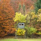 Hochsitz im Herbst