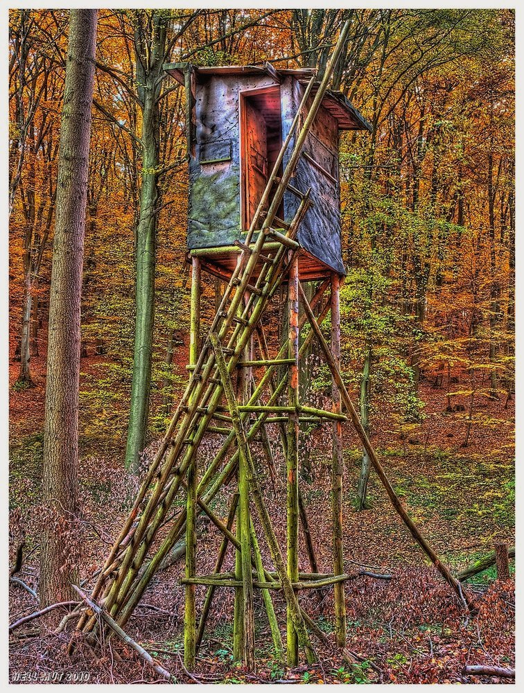 Hochsitz im Herbstwald