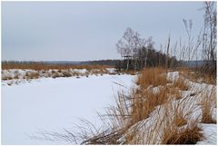 Hochsitz im Moor