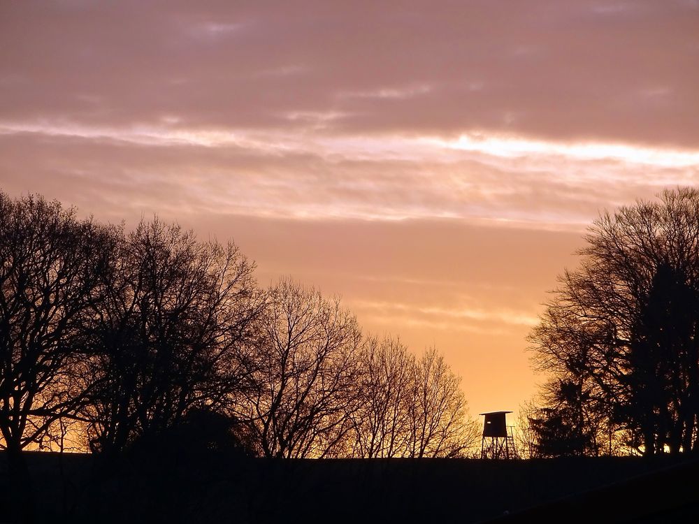 Hochsitz im Morgengrauen