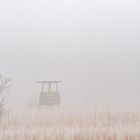 Hochsitz im Morgennebel