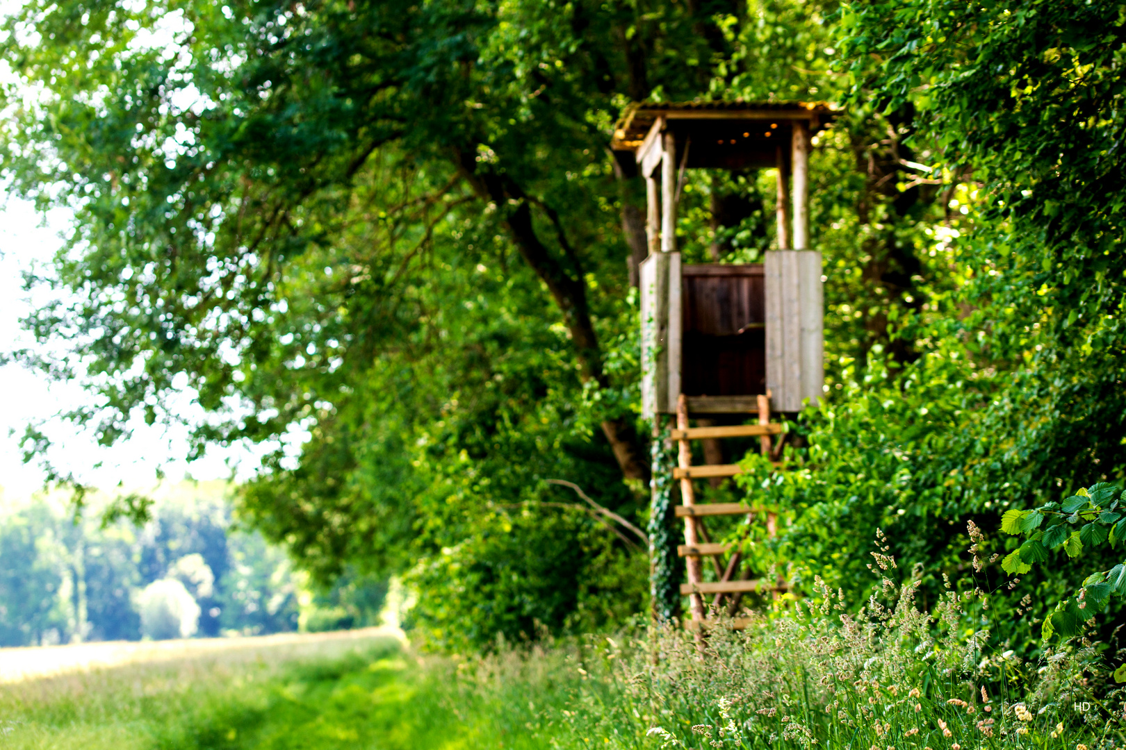 Hochsitz im Naturschutzgebiet 