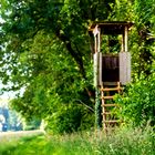 Hochsitz im Naturschutzgebiet 