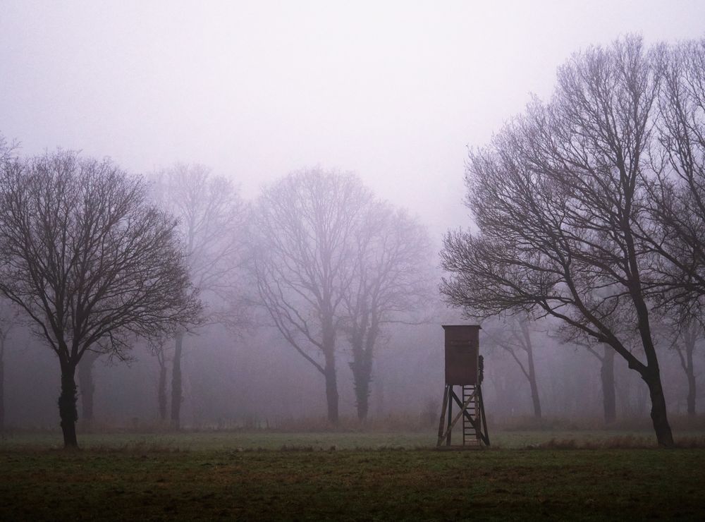 Hochsitz im Nebel