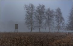 Hochsitz im Nebel