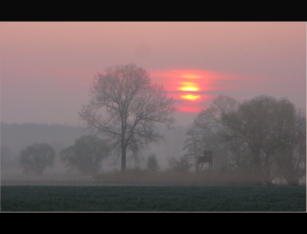 Hochsitz im Nebel