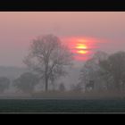 Hochsitz im Nebel